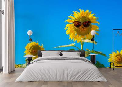 sunflower on blue sky background Wall mural