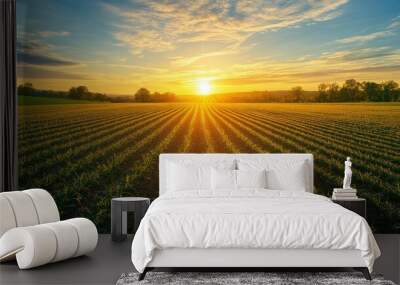 Sunrise over a rural farm, with fields of crops bathed in the soft morning light. Wall mural