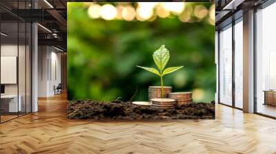 A seedling growing on a pile of coins has a natural backdrop, blurry green, money-saving ideas and economic growth. Wall mural