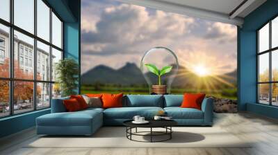 A tree growing on a coin in a light bulb including sunset background, energy saving ideas and renewable energy ideas. Wall mural