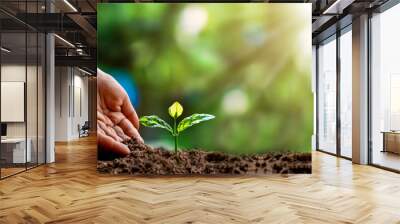 Close-up of a human hand holding a seedling, including planting the seedlings, the concept of Earth Day and the global warming reduction campaign. Wall mural