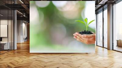 Earth Day concept, human hand holding growing trees on a blurred green forest background. Wall mural