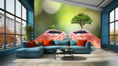 Environmentalists' hands holding big trees and seedlings to replace each other. World Environment Day concept. Wall mural