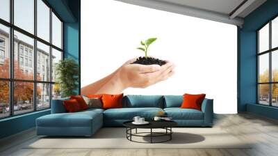 hand holding small tree on white background eco earth day concept Wall mural