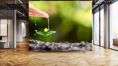 Hand watering plants that grow on good quality soil in nature, plant care and tree growing ideas. Wall mural