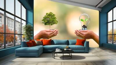 human hand planted trees and small trees growing in light bulbs on human hands to conserve earth day environmental conservation concept Wall mural