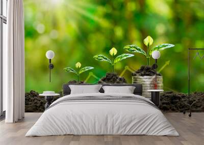 Plant small plants on coins stacked on the concept of saving money and growing money. Wall mural