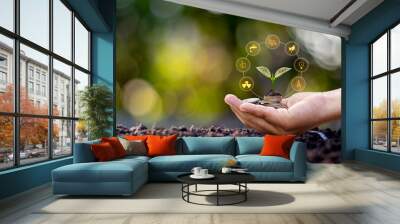 Tree growing from coins in human hand and blurred natural green background, finance and money management concept for SME. Wall mural