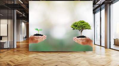 two human hands holding small and big trees on blurred green background according to world environme Wall mural