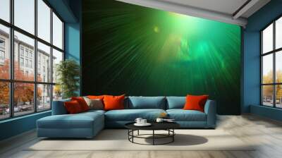 Abstract Green Laser Beam Projection Against Textured Surface with Gradient Light Rays, Futuristic and Dynamic Visual Effect in a Dark Environment Wall mural