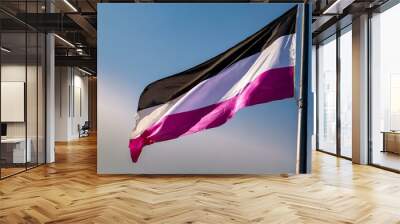 asexual flag flies against the blue sky, lgbt pride month Wall mural