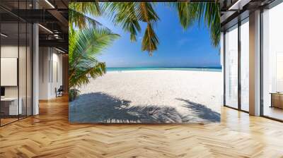 The beautifull beach of Dhangethi, maldives. Known for Diving, day tour for resort and this beautifull beaches and the swing in the water Wall mural