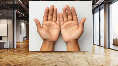 Person holding both hands open against a plain background Wall mural