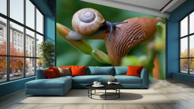 two snails on a day lily branch after a rain Wall mural