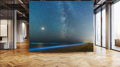 Long exposure shot of glowing plankton on sea surf and milky way. Blue bioluminescent glow of water under the starry sky. Rear nature phenomenon. Bright Mars planet among constellations in night sky. Wall mural