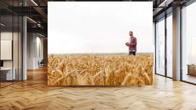 Smart farming using modern technologies in agriculture. Man agronomist farmer with digital tablet computer on background in wheat field using apps, selective focus Wall mural