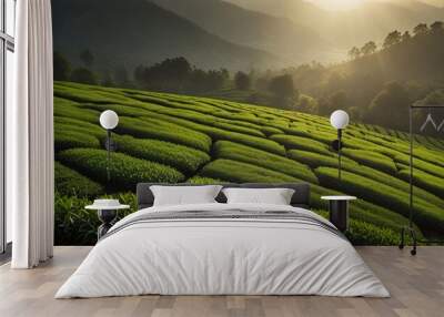 beauty landscape tea tree in farm with sunshine Wall mural