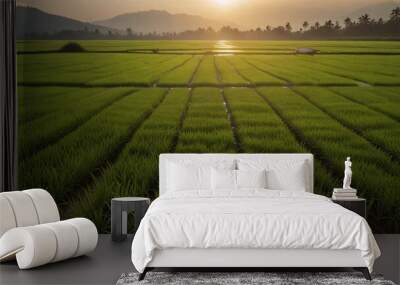 beauty view rice field with sun shine background Wall mural