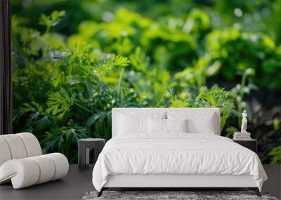 Carrot foliage in the field Wall mural