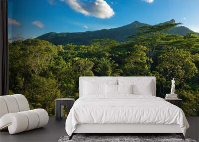 Rain forest, tree crowns and mountain in Mauritius island Wall mural