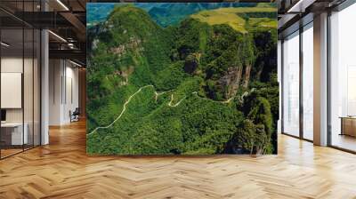 Scenic road with canyons. Santa Catarina, Brazil. Aerial view Wall mural