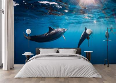 Spinner dolphins underwater in blue ocean with light Wall mural