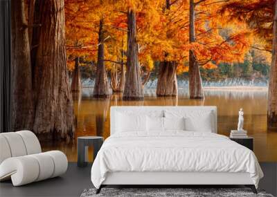 Trees in water with orange needles. Autumnal swamp cypresses on lake. Wall mural