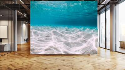 Tropical blue ocean with white sand underwater in Hawaii Wall mural