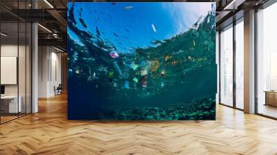 Underwater ocean with plastic and plastic bags, ecological problem Wall mural