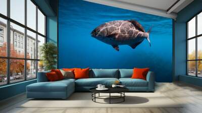 Underwater view of tropical fish in transparent ocean Wall mural