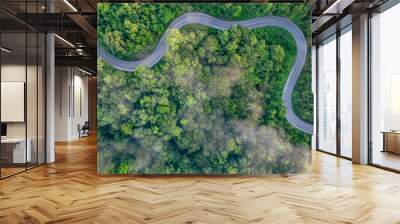 Aerial top view of green forest and highway road. Drone view of green trees and morning fog. Green trees background for carbon neutrality and net zero emissions concept. Sustainable green environment. Wall mural