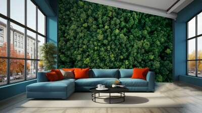 Aerial top view of green trees in forest. Drone view of dense green tree captures CO2. Green tree nature background for carbon neutrality and net zero emissions concept. Sustainable green environment. Wall mural