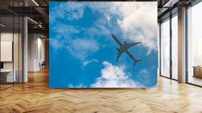 Commercial airline flying on blue sky and white fluffy clouds. Under view of airplane flying. Passenger plane after take off or going to landing flight. Vacation travel abroad. Air transportation. Wall mural