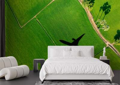 Shadow airplane flying above green field. Sustainable aviation fuel. Sustainable transportation and eco-friendly flight with biofuel use. Aviation sustainability. Air travel. Reduce carbon footprint. Wall mural