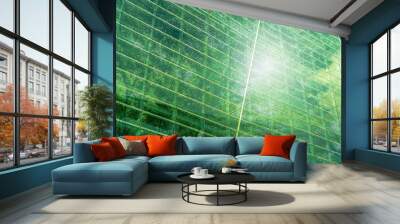 Sustainble green building. Eco-friendly building. Sustainable glass office building with tree for reducing carbon dioxide. Office with green environment. Corporate building reduce CO2. Safety glass. Wall mural