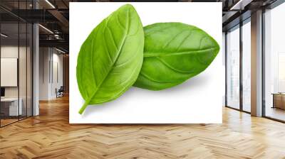 basil. fresh green basil leaves. basil plant. herbs and spice. aromatic green leaves. herbal for coo Wall mural