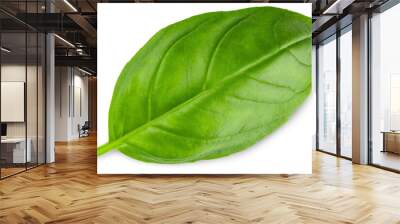 Basil. Fresh green basil leaves. Basil plant. Herbs and spice. Aromatic green leaves. Herbal for cooking salad with vegetables. Farm agriculture. Natural raw health vegetarian food Wall mural