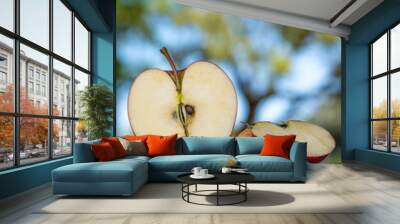 Red organic apple on wooden table. Cut in half and quarter pieces. Farmers market. Copy space. Blue sky and green tree leaves on background. Wall mural