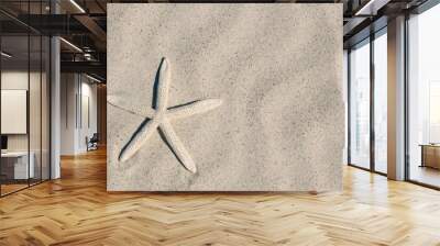 Starfish on the ocean beach. Spring or summer vacations. Quartz sand. Sea coast. Florida paradise. Tropical nature. Sand dunes. Seascape concept for travel agency. Wall mural