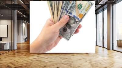 USA American money dollars bills. Man hand holding stack of money. Cash for rent, credit payment. One hundred dollars or 100 dollar bill. United States of America. Bank financing. Isolated background  Wall mural