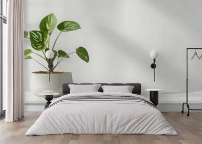 Green Plant in White Pot on White Table Wall mural