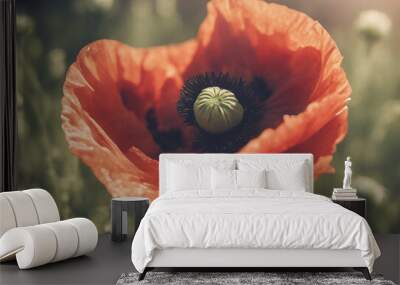 Close-up of a beautiful single single poppy flower Digital Art Natural background Illustration for b Wall mural