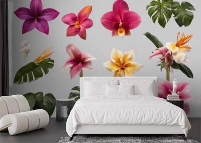 Set of various exotic tropical blooming flowers isolated on transparent background Wall mural