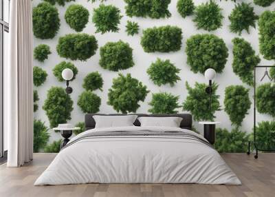 Top view of various decorative green bush or shrub plants isolated on transparent background Wall mural