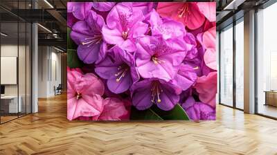 A vibrant display of pink and purple flowers with lush green leaves, perfect for adding color to any design or project. Wall mural