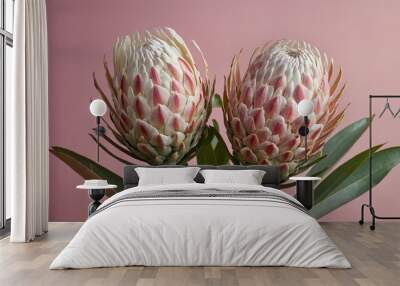 High-quality photograph of two pink protea flowers in bloom against a soft pink background with green leaves. Wall mural