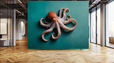 Single octopus on teal tabletop, top view with space for text Wall mural