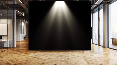 Isolated spotlight effect on black background. Clean photographer studio. Light from the top clipart. Wall mural