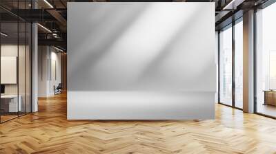 Product showcase spotlight background. Clean photographer studio. Wall mural