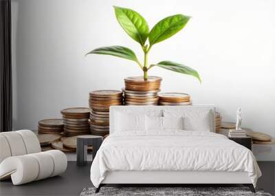 Small plant is growing from increasing stacks of coins on a white background Wall mural